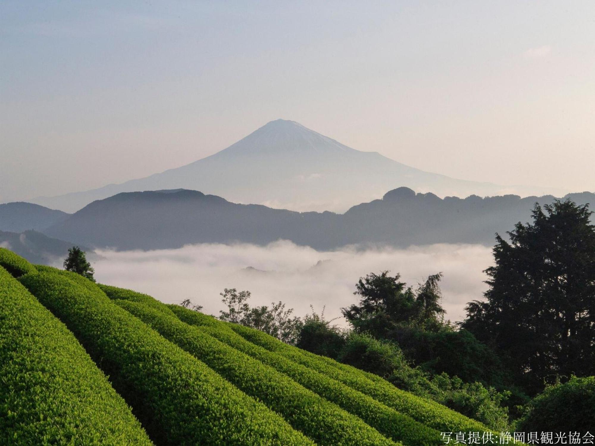 Hotel Wing International Shizuoka Luaran gambar